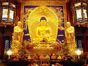 达真堪布：2011百日共修皈依（九）