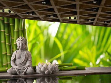 达真堪布：为什么说一切众生都做过我们的父母？